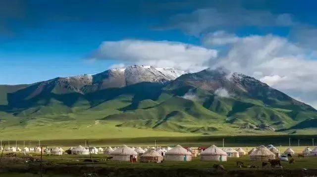 新疆之行，心之所向的深度感悟