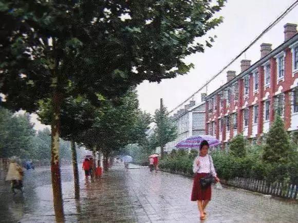 邯郸探秘，小巷深处的独特风味之旅